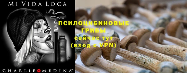 дмт Бородино