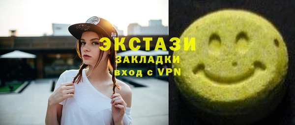 дмт Бородино