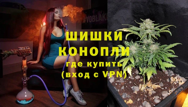 дмт Бородино