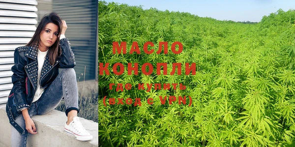 дмт Бородино