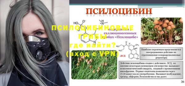дмт Бородино