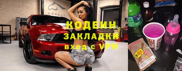 дмт Бородино