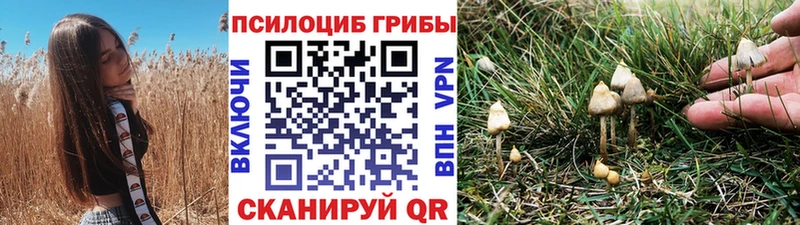 Псилоцибиновые грибы мицелий  цена наркотик  Карабулак 